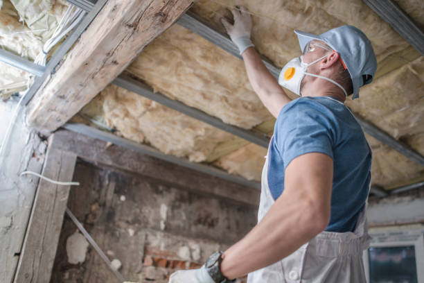 Best Cellulose Insulation in Whitinsville, MA